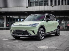 smart精灵#1 2022款 Pulse心动版