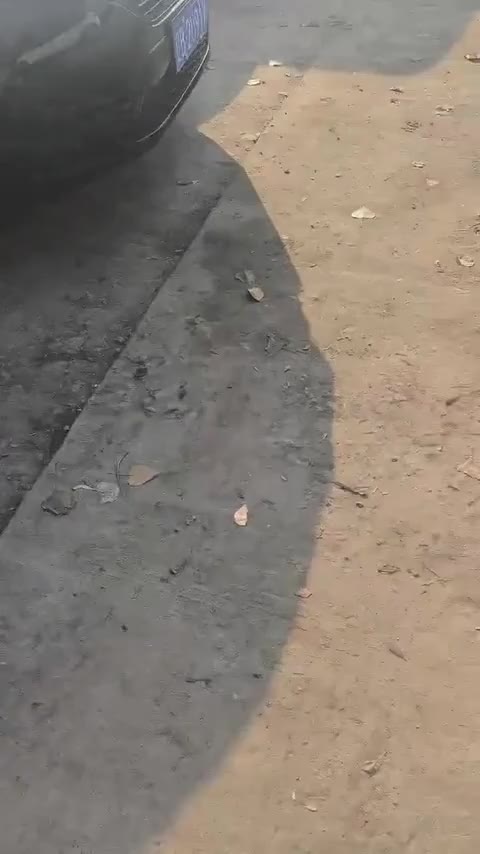 宝马3系 2016款 316Li 时尚型讲解2