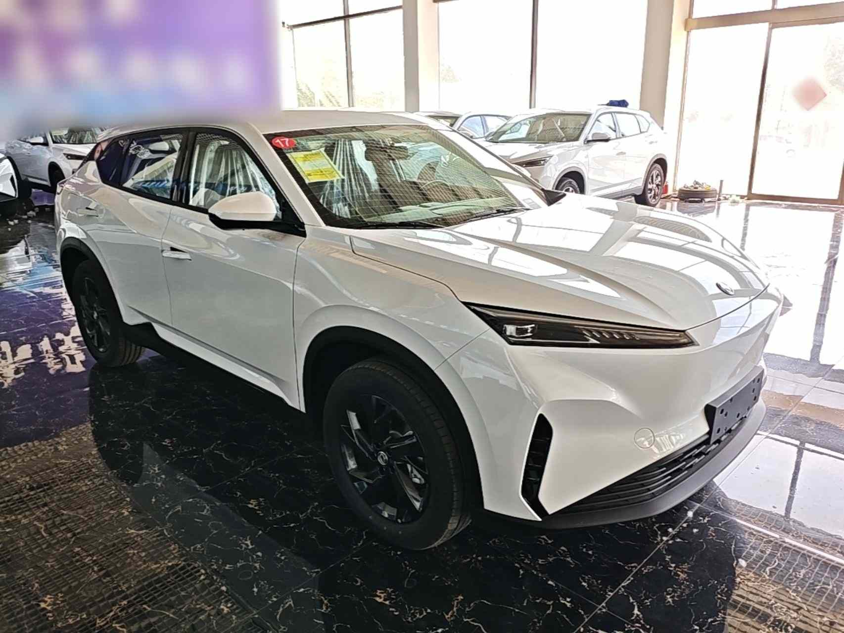东风风神 SKY EV01 2025款 530km AIR精英版(5)