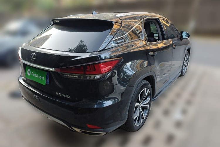 雷克萨斯RX 2020款 300 四驱典雅版 国VI车身外观7