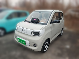 五菱汽车 宏光MINIEV 2024款 第三代 215km 青春版