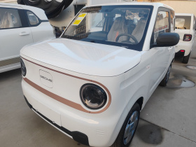 吉利银河 2024款 熊猫mini 200km 耐力熊