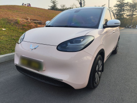 五菱汽车 五菱缤果 2023款 410km 灵犀尊享款