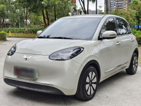 五菱汽车 五菱缤果 2023款 333km 悦享款