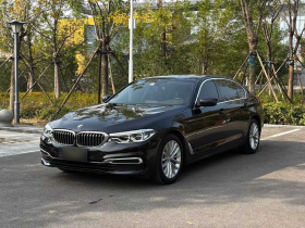 宝马5系 2020款 530Li 领先型 豪华套装