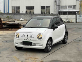 欧拉黑猫 2021款 351km 标准型