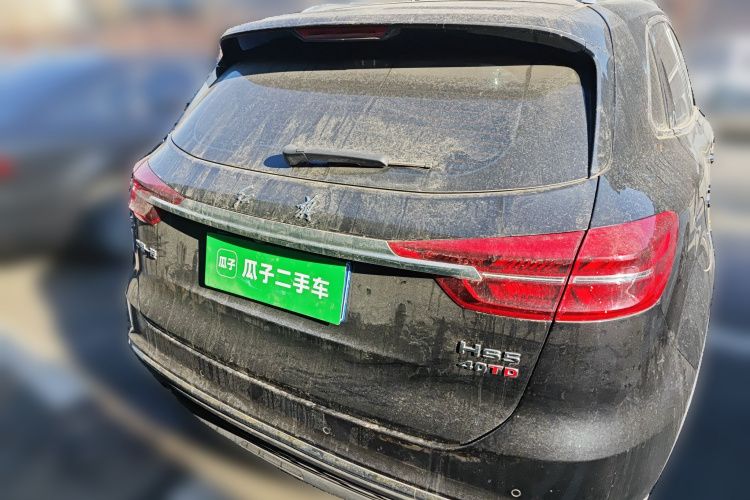 红旗HS5 2019款 2.0T 智联旗享版车身外观6