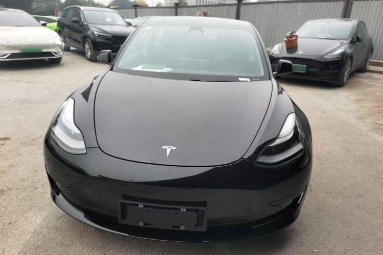特斯拉 Model 3 2021款 标准续航后驱升级版车身外观6001