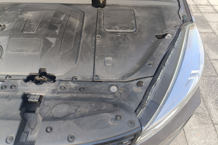 凯翼 炫界Pro 2021款 1.5T CVT劲尊版局部细节9007