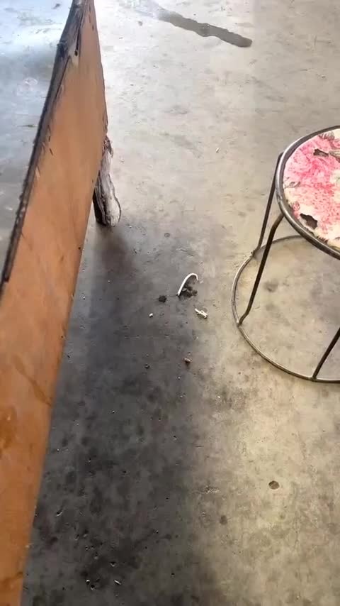 奔驰C级 2020款 C 260 运动版讲解1