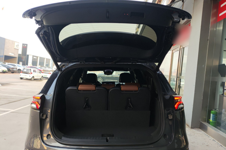 比亚迪 唐新能源 2021款 DM-i 112KM 尊荣型机舱底盘23