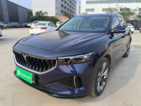 岚图汽车 岚图FREE 2021款 四驱标准增程专属豪华套装