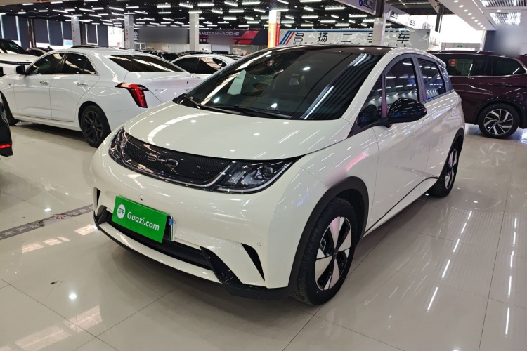 比亚迪 海豚 2023款 420km 时尚版车身外观6003