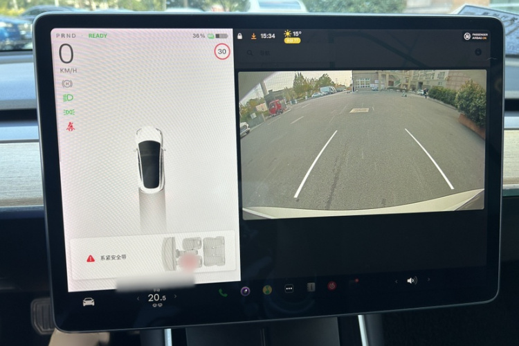 特斯拉 Model 3(进口) 2019款 标准续航后驱升级版(60度)局部细节16