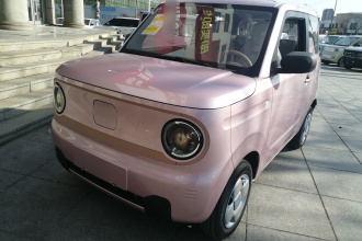 吉利银河 2024款 熊猫mini 200km 耐力熊