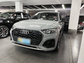 奥迪Q5L 2025款 45周年典藏版 40 TFSI 豪华动感型