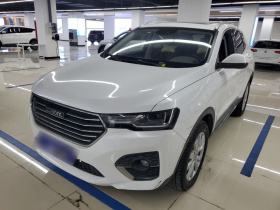 哈弗H4 2019款 1.5GDIT DCT豪华智联版 国VI