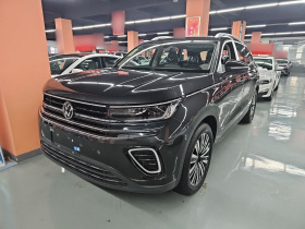 大众 揽巡 2025款  330TSI 豪华巡逸 众享款