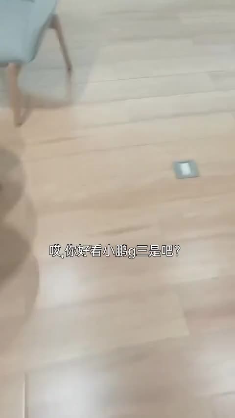 小鹏G3 2020款 520i 智享版讲解2