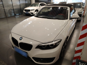 宝马2系(进口) 2019款 225i 敞篷轿跑车 运动设计套装