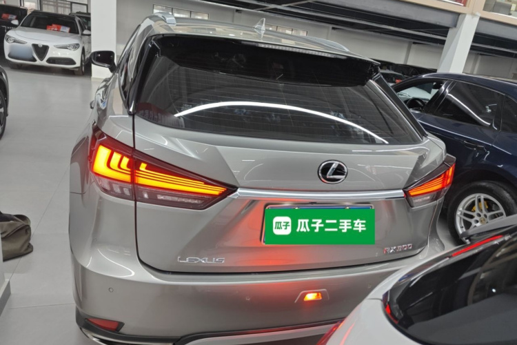 雷克萨斯RX 2020款 改款 300 两驱精英版车身外观6