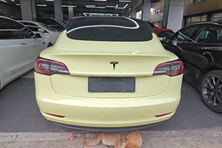 特斯拉 Model 3 2019款 标准续航后驱升级版车身外观6004