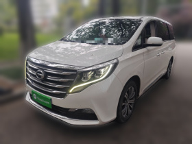 广汽传祺 传祺M8 2018款 320T 尊贵版