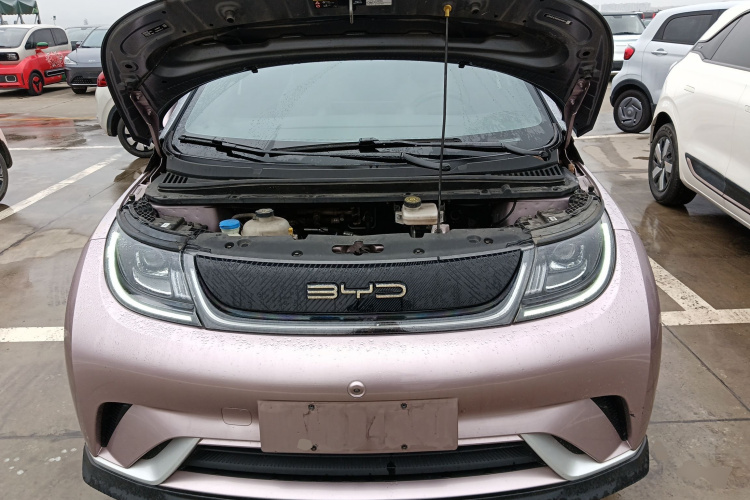 比亚迪 海豚 2021款 401km 骑士版局部细节24