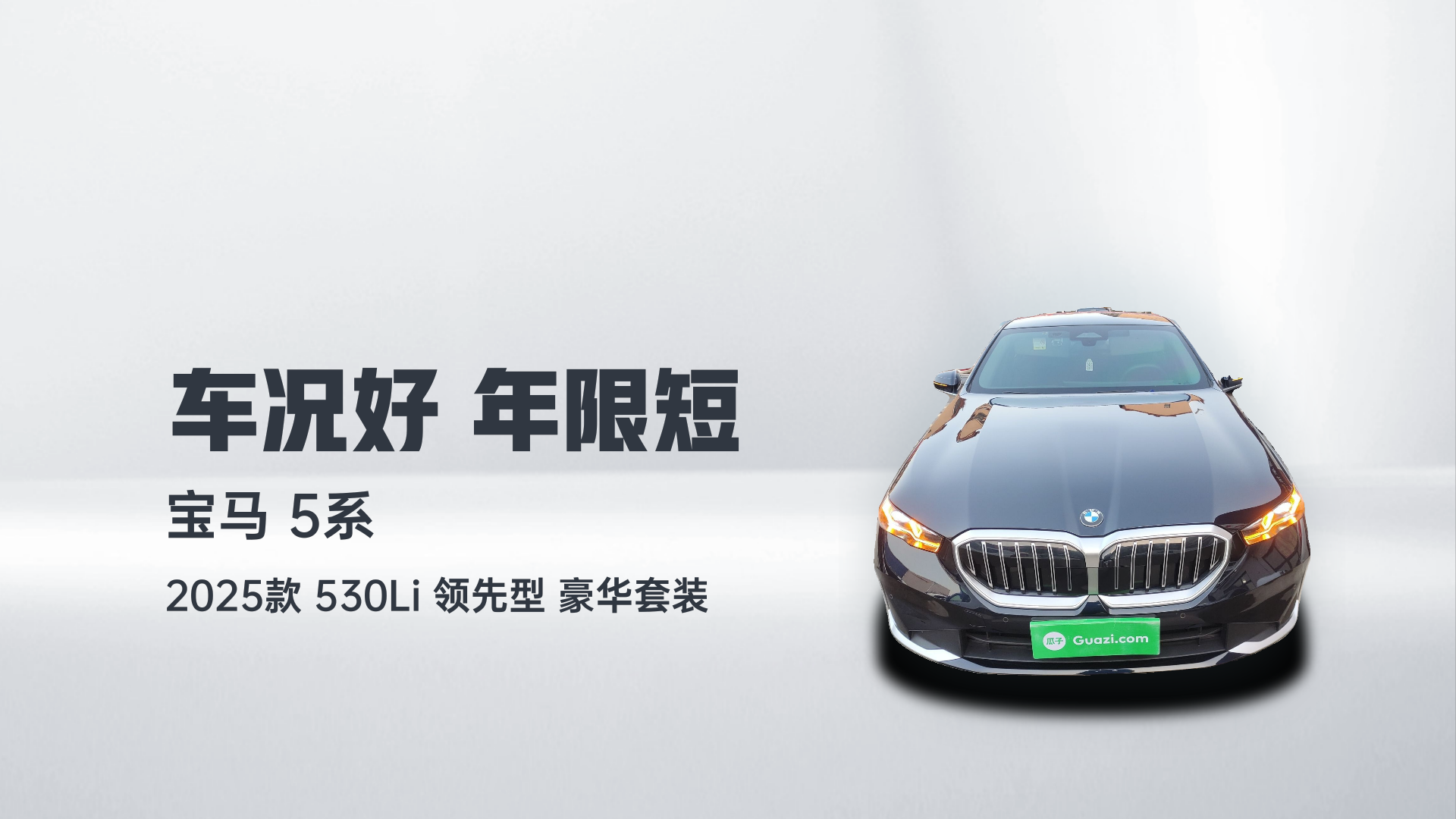 宝马5系 2025款 530Li 领先型 豪华套装解读2