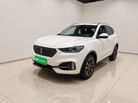 魏牌 VV6 2021款 2.0T 两驱智护+