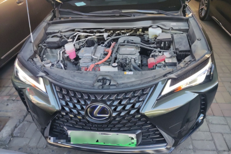 雷克萨斯UX新能源 2020款 300e 纯·悦版局部细节24