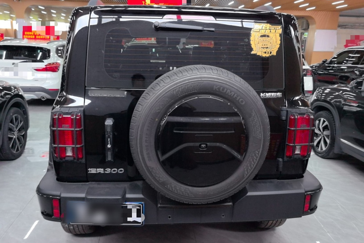 坦克300 2024款 2.0T 征服者车身外观6004