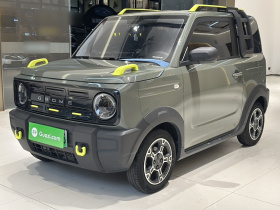 吉利银河 2024款 200km 熊猫骑士