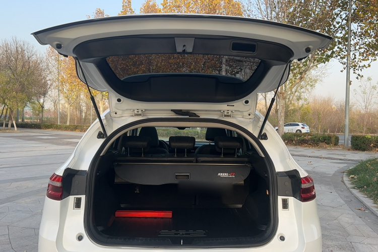 哈弗F7 2019款 1.5T 两驱i潮 国V局部细节23