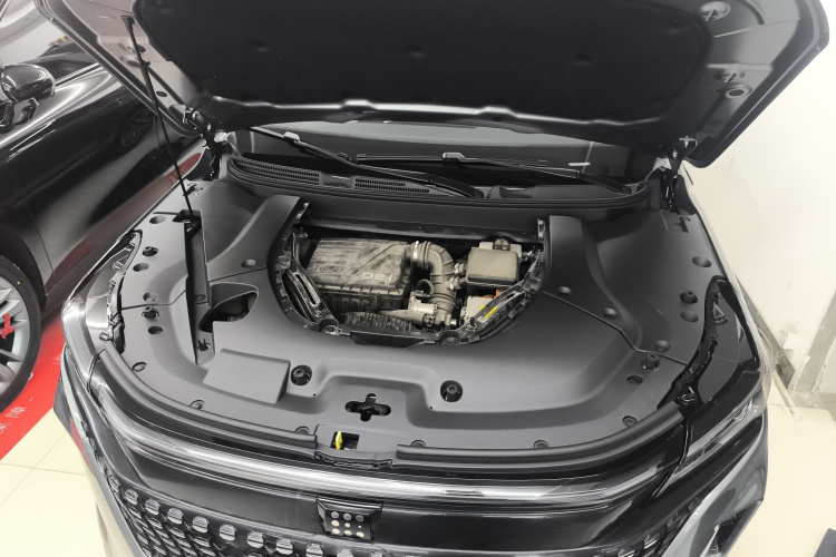 蓝电E5 2023款 1.5L DE-i 100KM臻享型 7座机舱底盘24