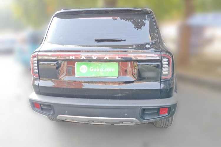 哈弗大狗 2024款 1.5T DCT边牧版车身外观6004