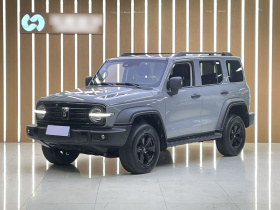 坦克300 2025款 2.0T 征服者