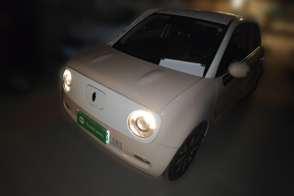 欧拉黑猫 2021款 351km 标准型