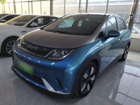 比亚迪 海豚 2021款 401km 骑士版