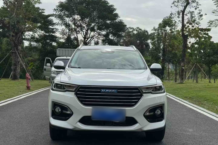 哈弗H6 2019款 蓝标 2.0GDIT 自动豪华智联版车身外观6003