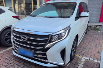 广汽传祺 传祺M8 2021款 改款 领秀系列 390T 豪华版