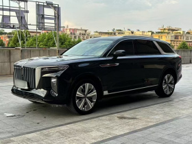 红旗E-HS9 2021款 460km 旗享版 六座