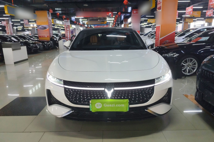 岚图汽车 岚图追光 2024款 PHEV 四驱超长续航行政版车身外观2