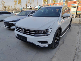 大众 途观L 2020款 330TSI 自动两驱智动豪华版 国VI