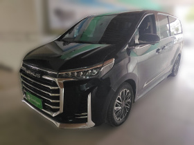 上汽大通MAXUS 大通G20 2021款 PLUS 2.0T 汽油自动尊雅版