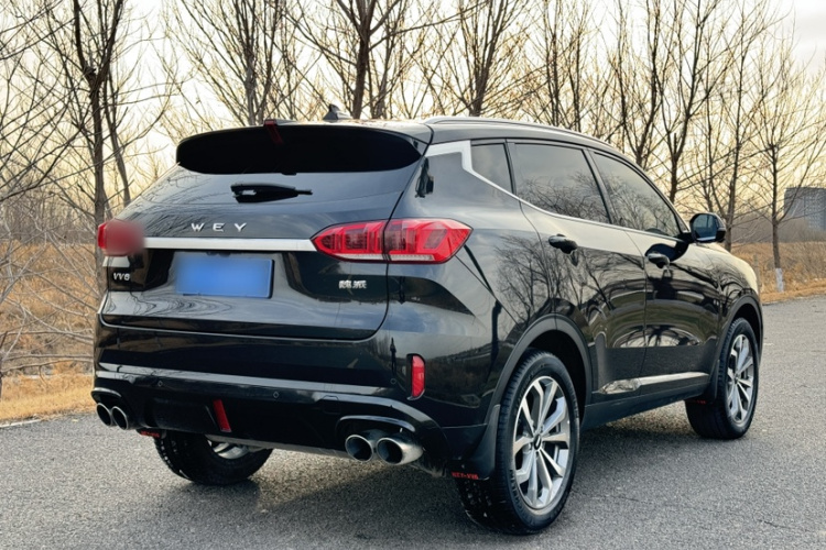 魏牌 VV6 2020款 2.0T 两驱智享+车身外观6002