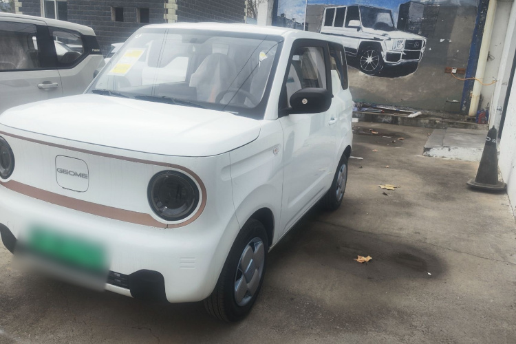 吉利银河 2024款 熊猫mini 200km 耐力熊车身外观6005