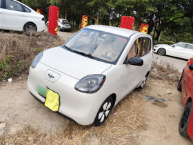 五菱汽车 宏光MINIEV 2025款 四门版 进阶款