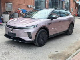 岚图汽车 岚图知音 2024款 超长续航智享版