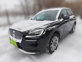 林肯 冒险家 2020款 2.0T 两驱尊享版